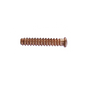 84-1008-100PK SELF THREAD RIVET M5 x 25